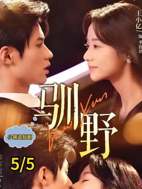 恐怖电视剧楼上有人海报